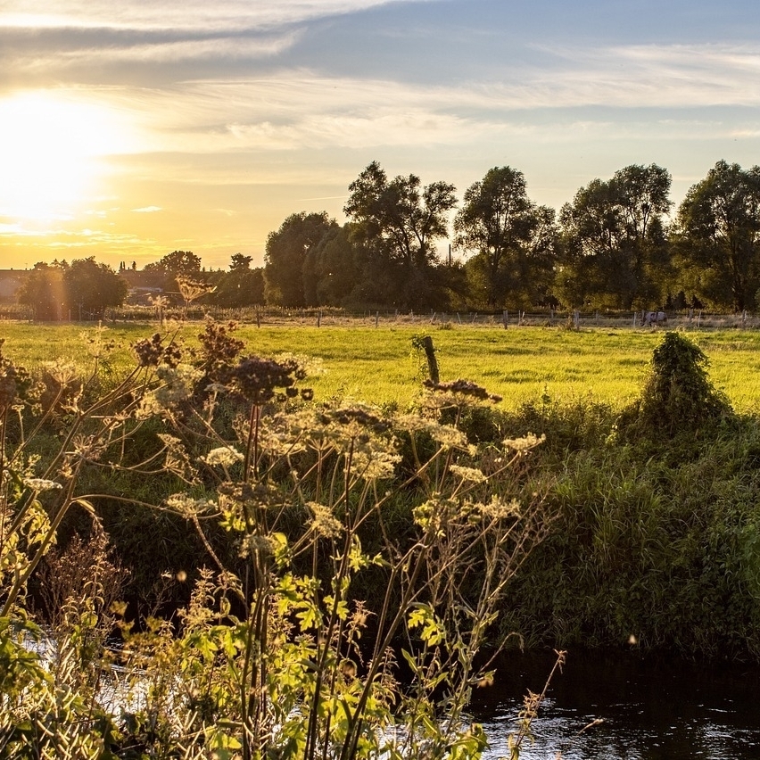 Wiese im Sonnenuntergang. Im Vordegrund des Bildes befindet sich ein Fluss, im Hintergrund ein Wald.